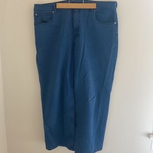 Like New Everlane The Way High Jean size 33